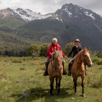 IMG_6504 23/11/2019 - Super journée d'une « calbacata » de rêve : deux heures dans différents terrains sur les valeureux et fort charpentés Captain et Halija. Voir la...